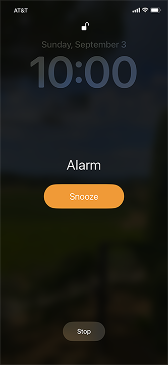 Screenshot of alarm going off